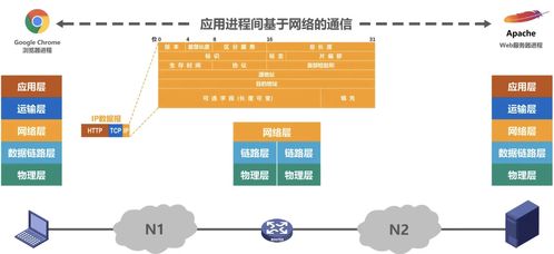 計算機網絡概述與信息管理與服務